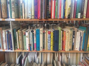 Close-up of colourful book spines